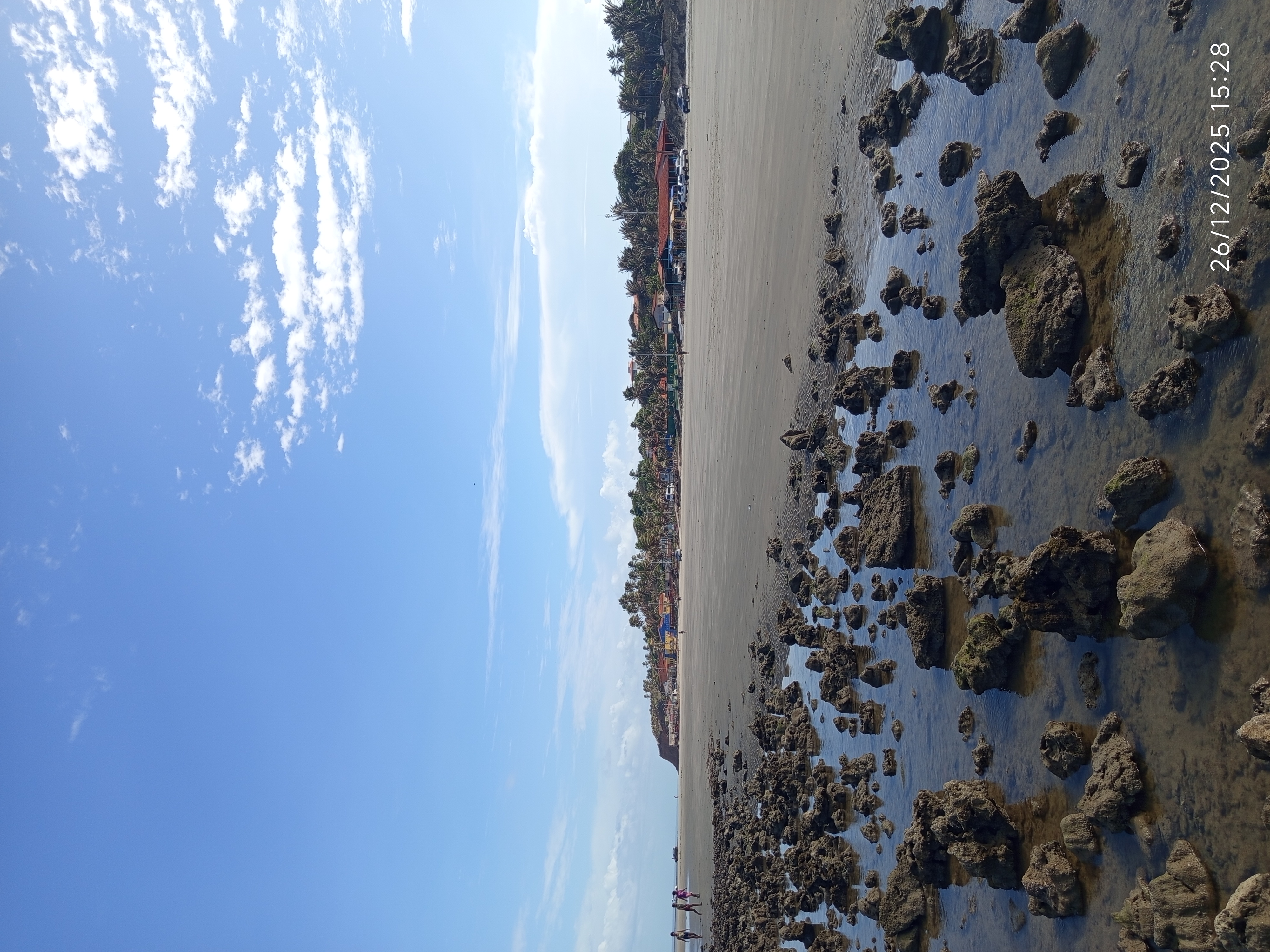 Panaquatira exuberante